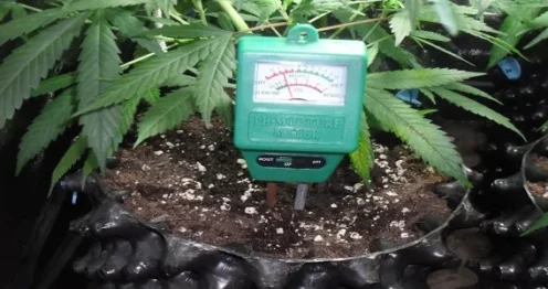 pH meter